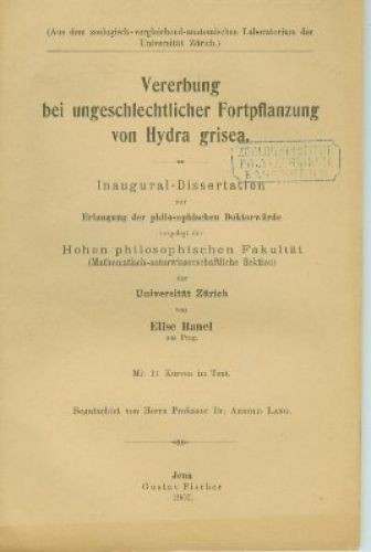 Vererbung bei
