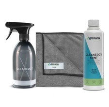 PROWIN Cleanergy Mint 500ml