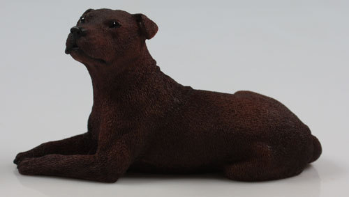 Staffordshire bullterrier - staffordshire,