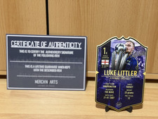 Dart, Luke Littler Original