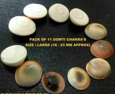 UNTREATED LUCKY GOMTI CHAKRA
