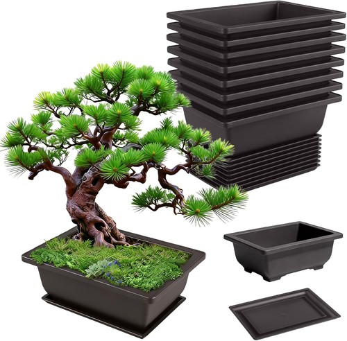 Stück bonsai schale - stück,