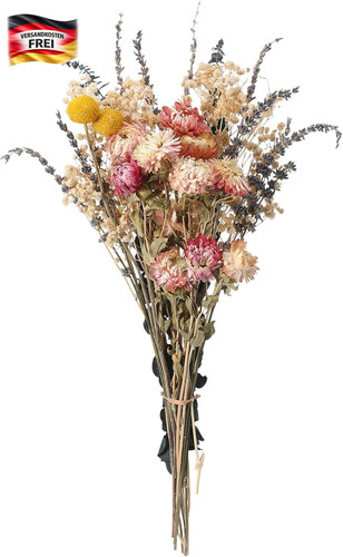 Getrocknete blumen set - getrocknete,