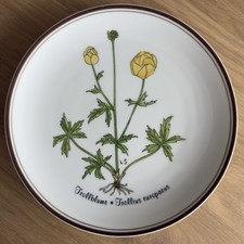 Rosenthal Wandteller Loki