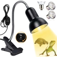 Schildkröten Wärmelampe