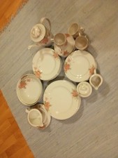 Winterling Schwarzenbach Tafelservice für 6 Personen 