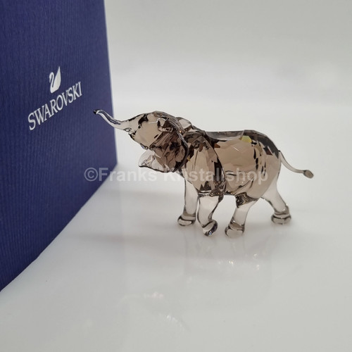 Swarovski scs elefantenbaby - swarovski,