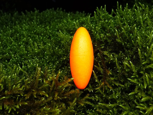 Micro pose - micro,