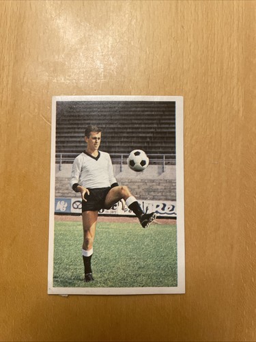 Bergmann 1967 356 gayer - 1967/68,