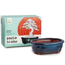 Bonsai Schale aus Keramik in Marineblau, abgerundet - perfekt für deinen Bonsai