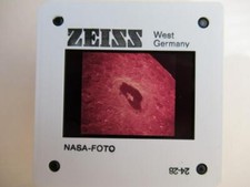 Stute Tsiolkovsky, ZEISS 35mm