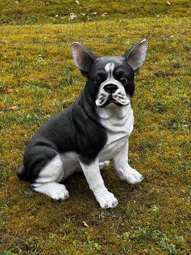 Deko figur franz - deko, bulldogge