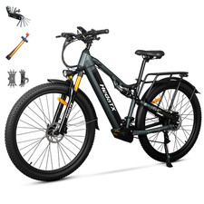 29'' Elektrofahrrad 48V/19,2Ah