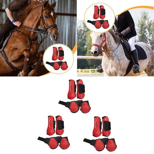 Pferd sehne stiefel reit - 4x,