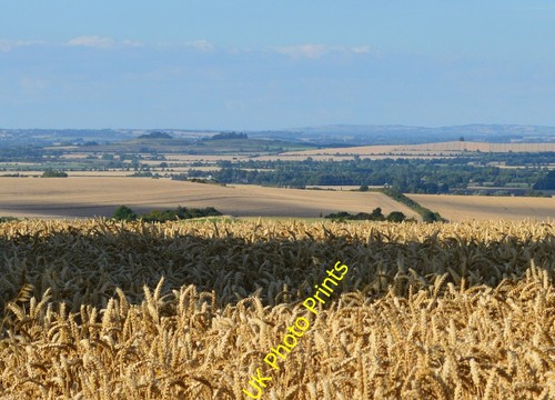 Foto 6x4 hazy nachmittag - foto,