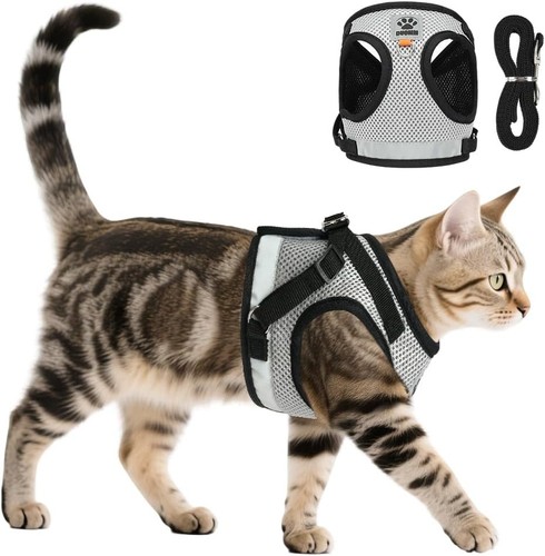Katzen geschirr set - katzen, leine