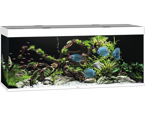 Aquarium juwel rio - aquarium,
