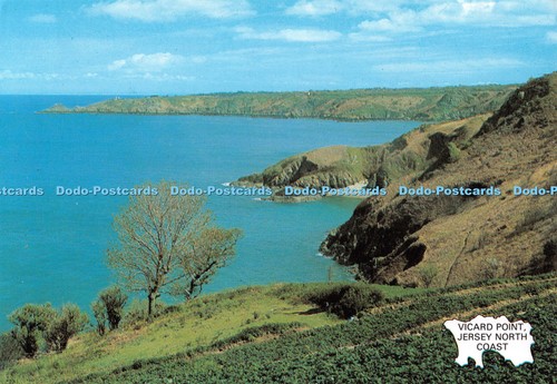 D125532 vicard point trikot - vicard,