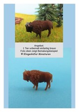 Bison / Büffel Kopf gerade