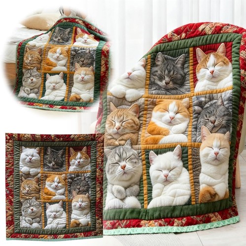 Niedliche katzen kuscheldecke - niedliche, katzen-kuscheldecke
