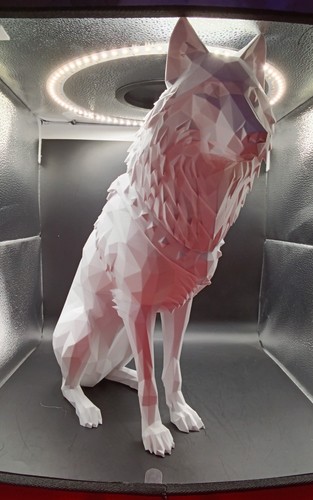Wolf figur lebensecht cm - wolf,
