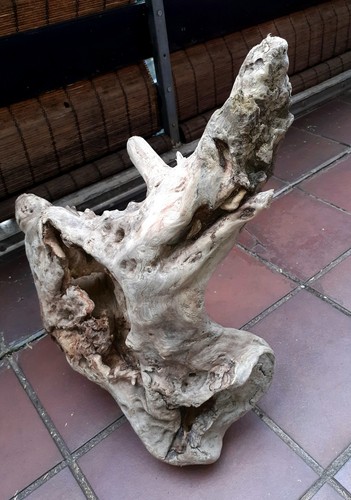 Treibholz schwemmholz - xl,