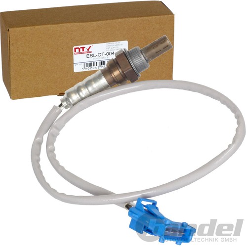 Diagnosesonde nach kat - diagnosesonde,