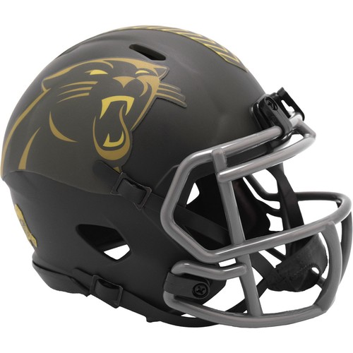 Nfl carolina panthers salute - carolina,