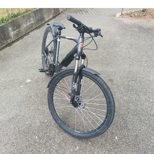 Carver strict mountainbike - strict,