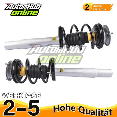 Stoßdämpfer komplett - 2x,