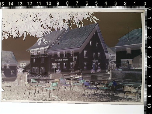 31002954 7897 kadelburg - 31002954,