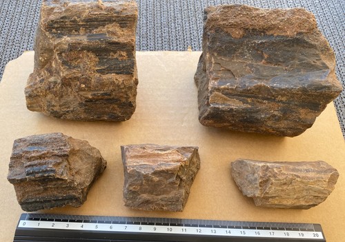 Versteinertes holz aus - versteinertes,