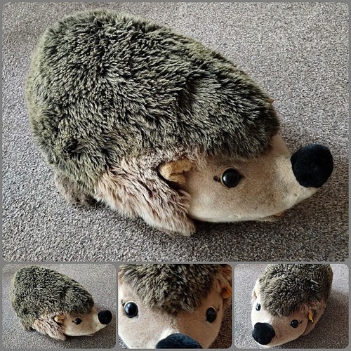 Steiff igel groß - *, joggi