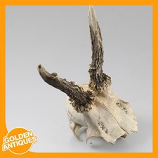 alter Vintage Hirsch Hirsch