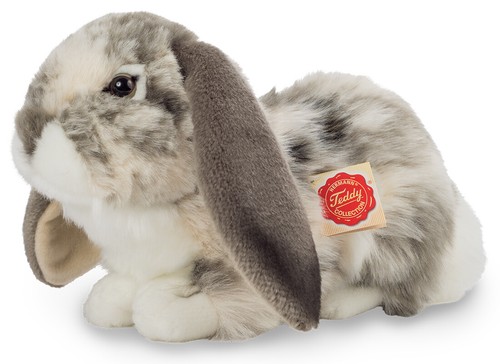Lop geohrt grau und - lop, hase
