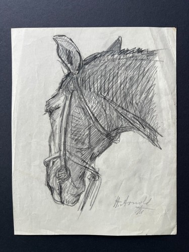 Pferd pferdekopf 1921 - ,