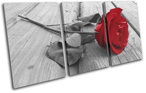 Rote rosen blumen liebe - rosen,
