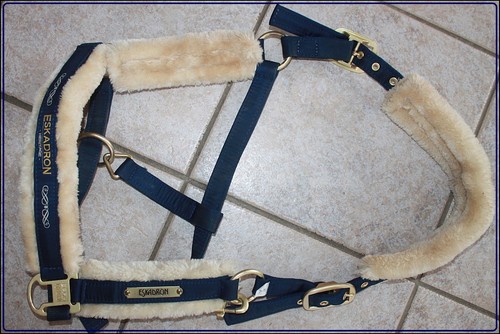 Eskadron halfter wb - halfter, gr.