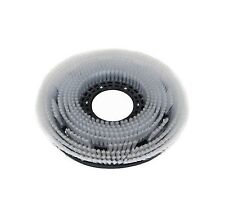 WB Numatic PPN-Scheuerbürste