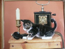 Bild Druck junge Katze mit Nostalgietelefon in goldfarbenen Metallrahmen Deko