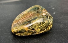 Unikat - Baltischer -