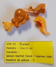 Kinder - Tiere - Eichhörnchen