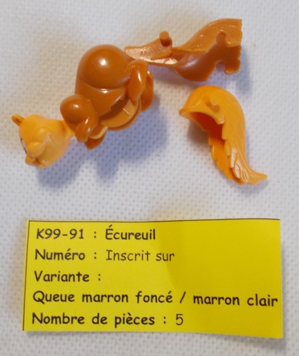 Kinder tiere eichhörnchen - -,
