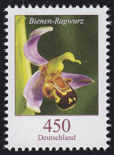 3191 blume bienen - blume, bienen-ragwurz