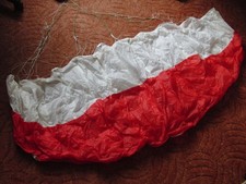 Lenkdrachen, ohne Stäbe und dazu 2 Minikinderdrachen