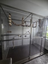 Papageien Voliere für Zimmernutzung 100% Edelstahl Kein Alu Kein Zink !2×1×2 M