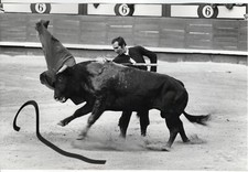 30x20 Vintage Archiv Foto 1970