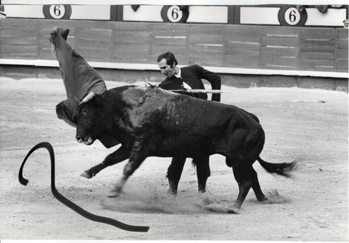 30x20 vintage archiv foto 1970 - 30x20,