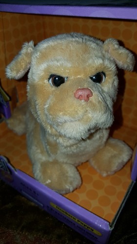 New box furreal - in,