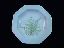 Gallo Leonardo Sommerfarn